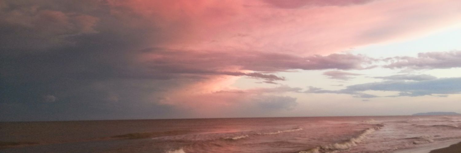 maria_mncb's profile banner image