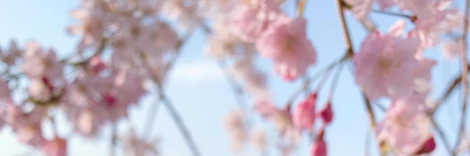 sanmu001's profile banner image