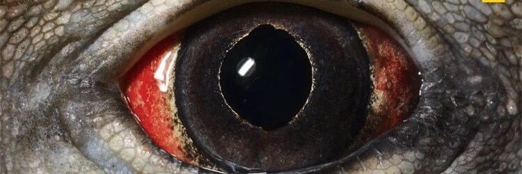 QuaHendrix's profile banner image