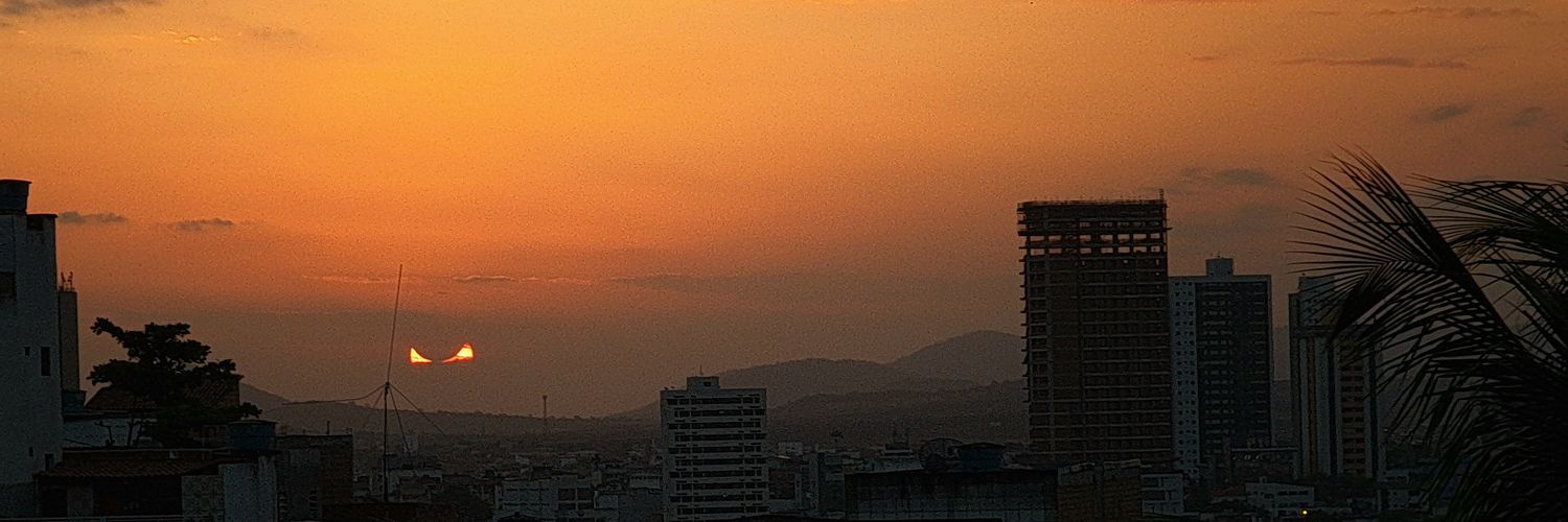 Palatinus X banner