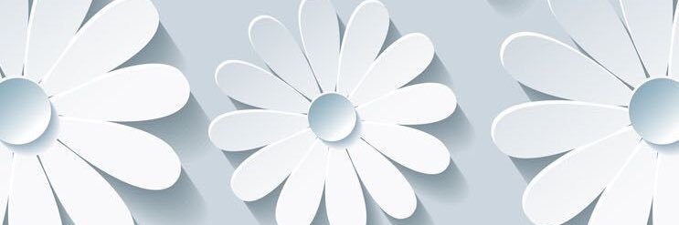 Kaiii44's profile banner image