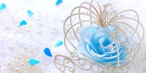 roes_8169's profile banner image