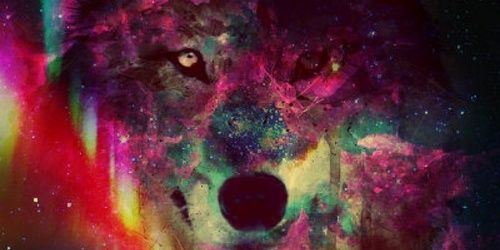 Rosadi021's profile banner image