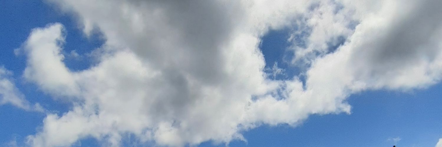 GMarcela_P's profile banner image