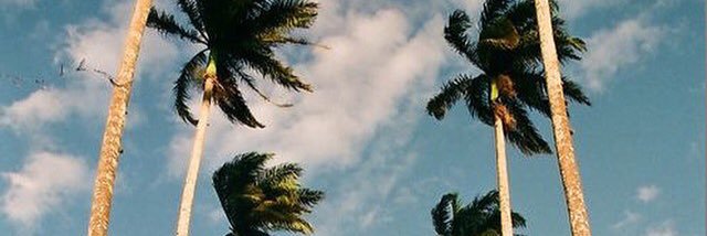 gibelavi22's profile banner image