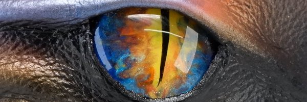 EmBraceDragons Profile Banner