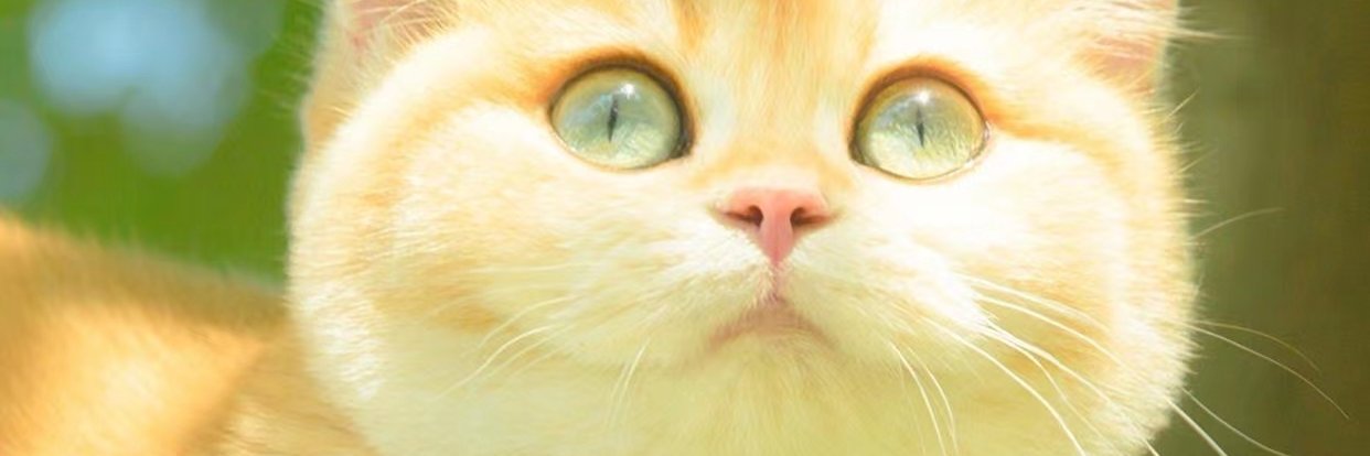 chariz_bilog's profile banner image
