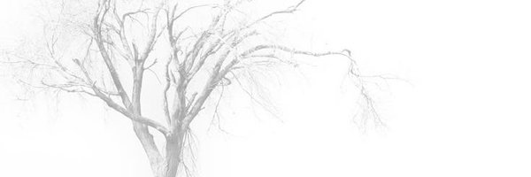 boyinhelll Profile Banner