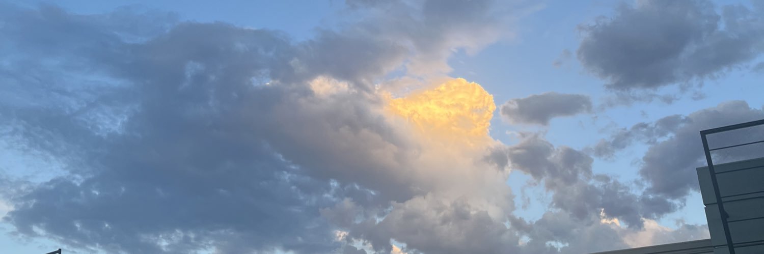 firepryor's profile banner image