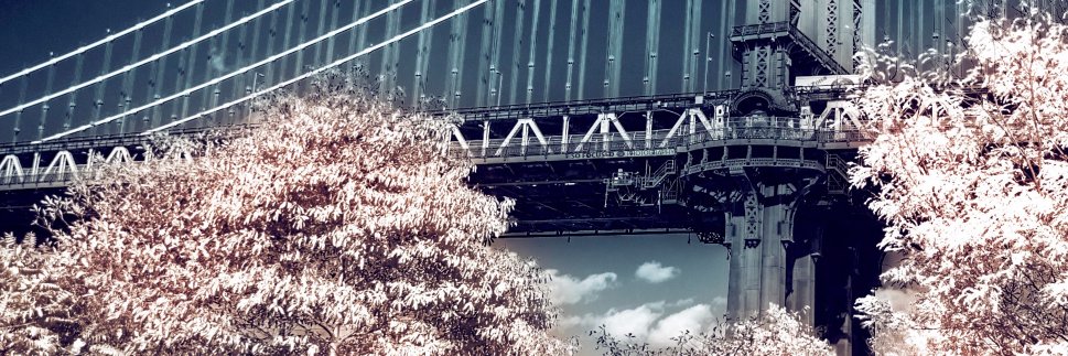 SoFocusedPhoto's profile banner image