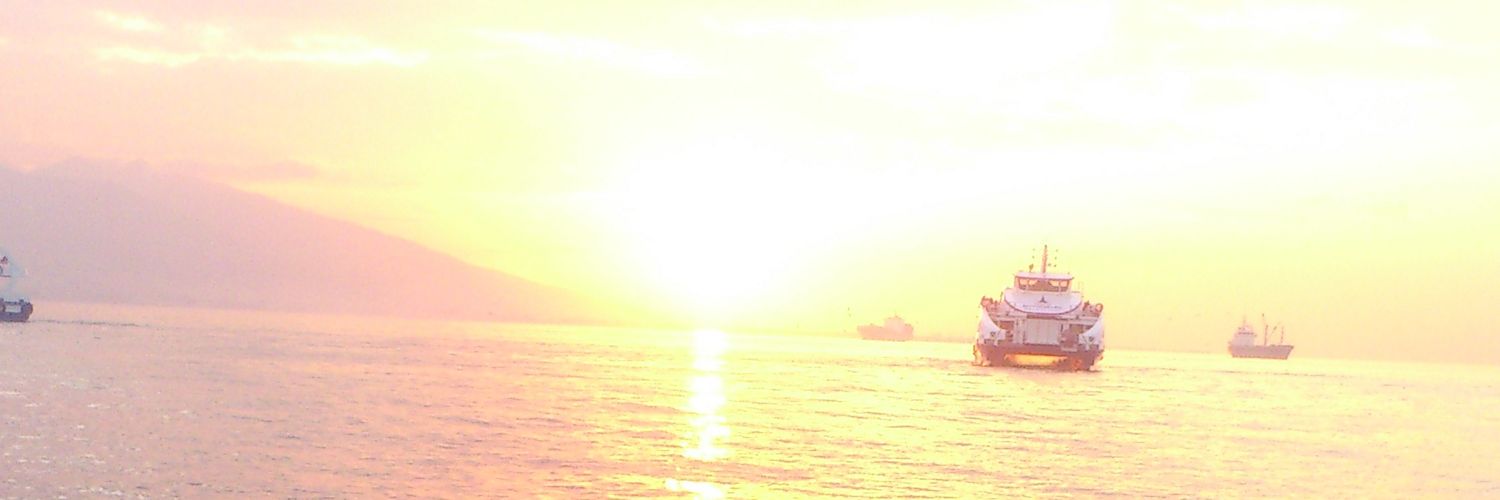 Javinskim's profile banner image