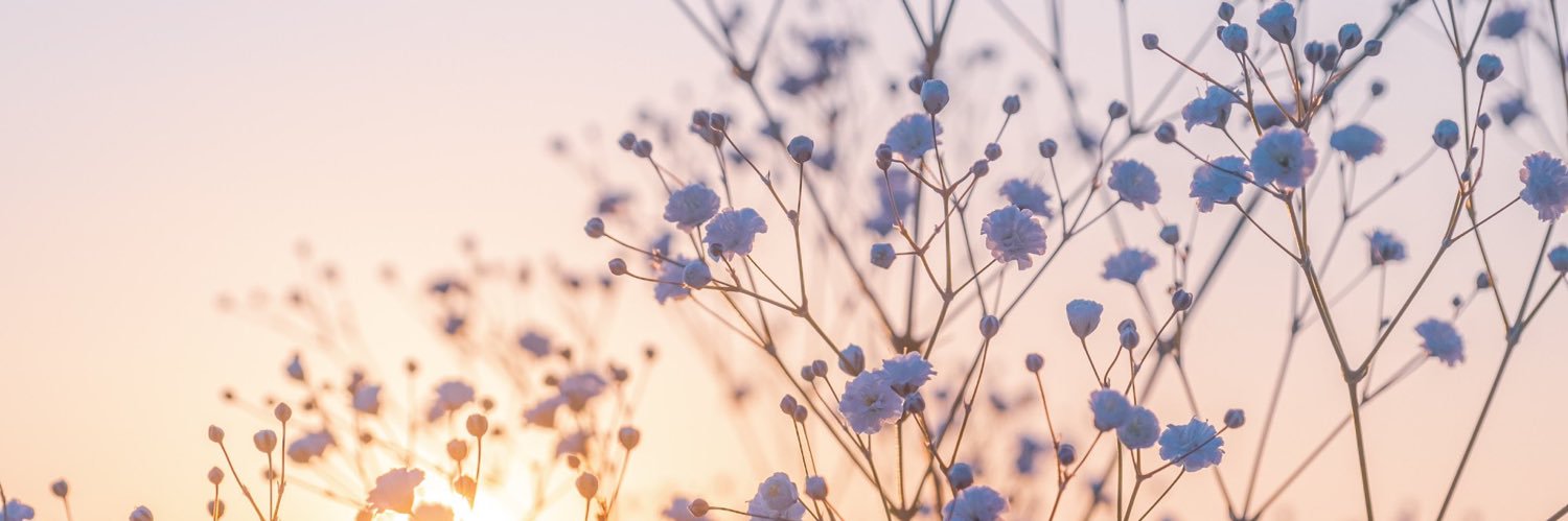 0719st's profile banner image