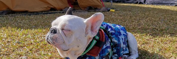 BangBangVictor Profile Banner