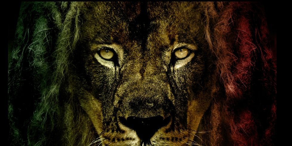SoloAlwaysDolo's profile banner image