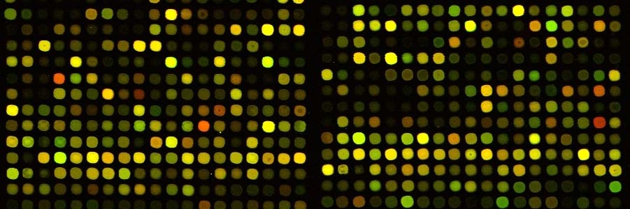 sciomics's profile banner image