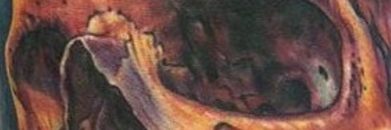 solstealingin's profile banner image