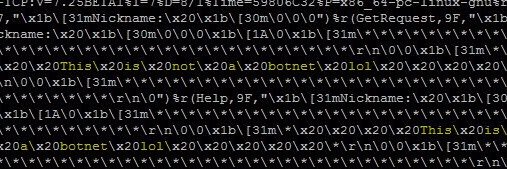 🆁🅴🅶🅶🅸🅴 banner