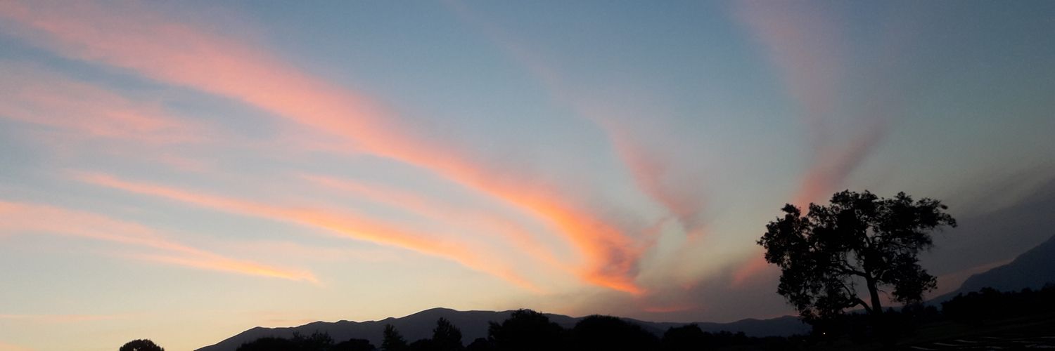 Nurya yıldırım banner