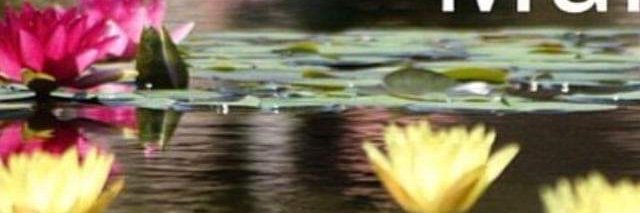 YogaMedGroup's profile banner image