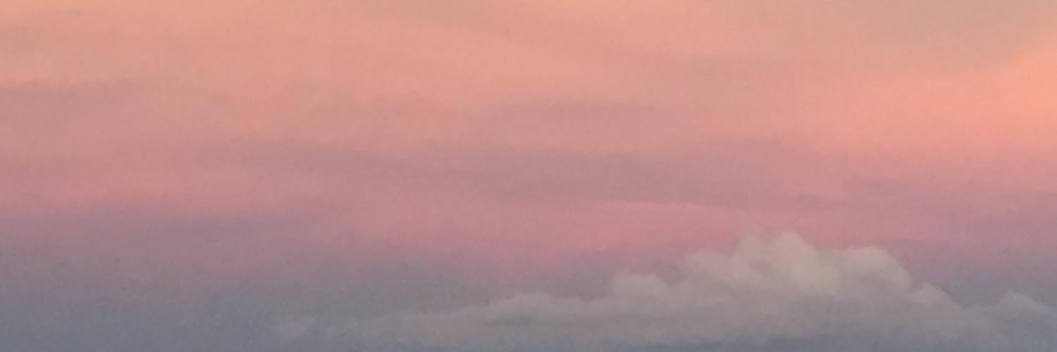 Mary Ann Colbert (she/her) banner