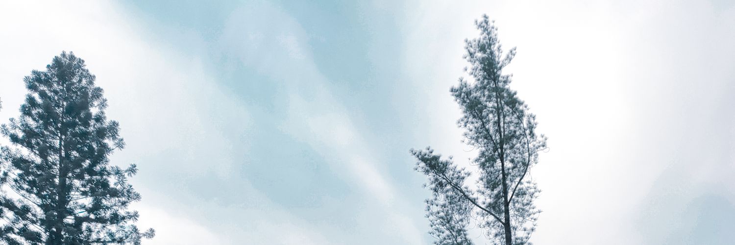 SiscaVerizcaa's profile banner image