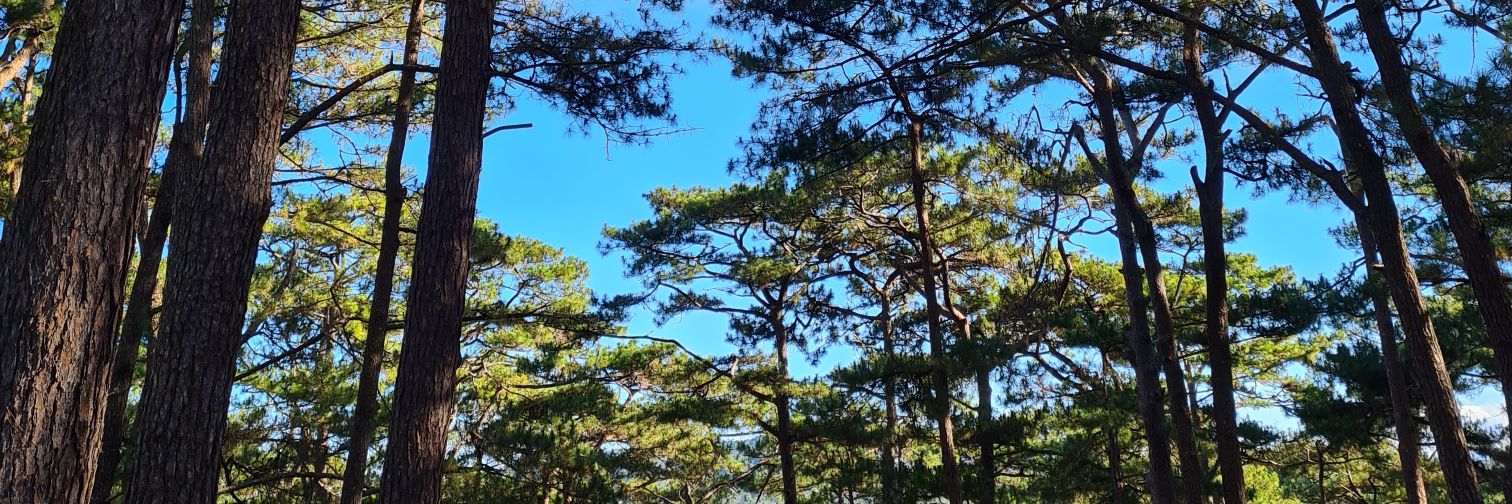 sunshinepg_'s profile banner image
