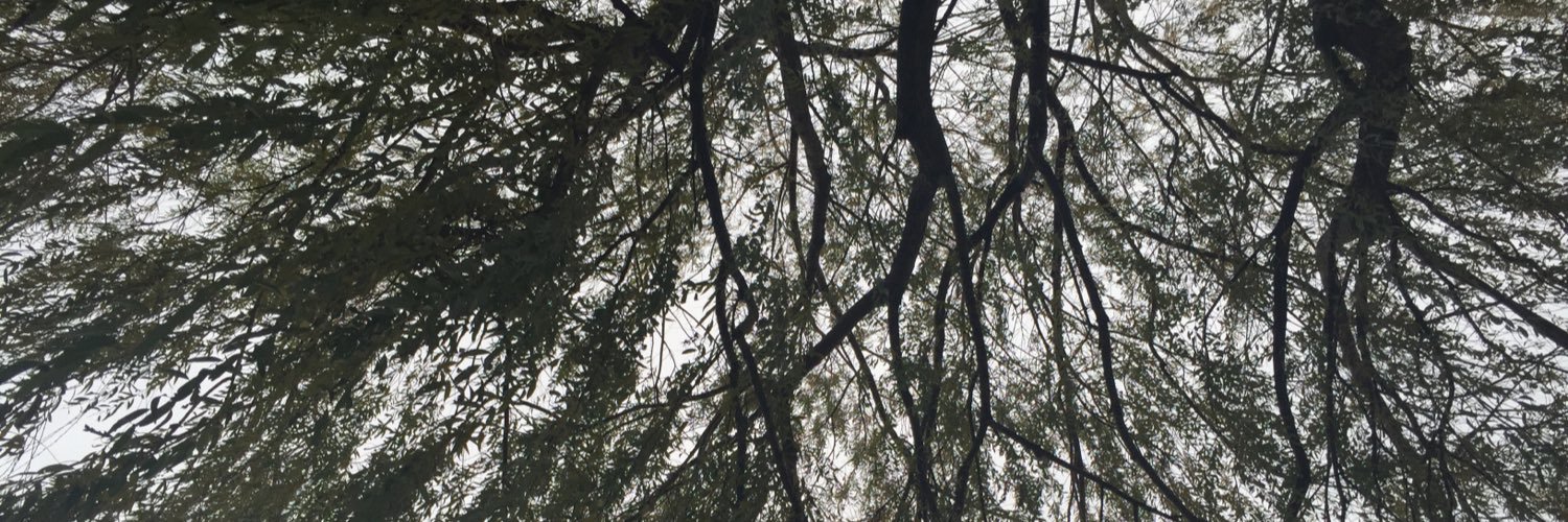 DominiqueLauf's profile banner image