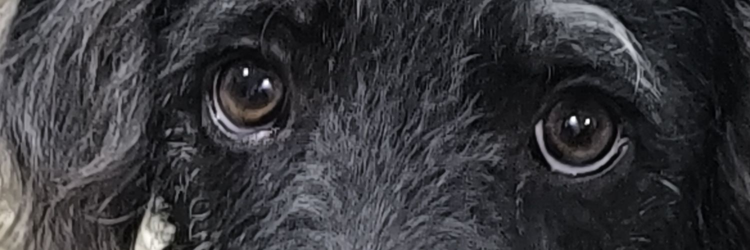 COCKYCUELLAR's profile banner image