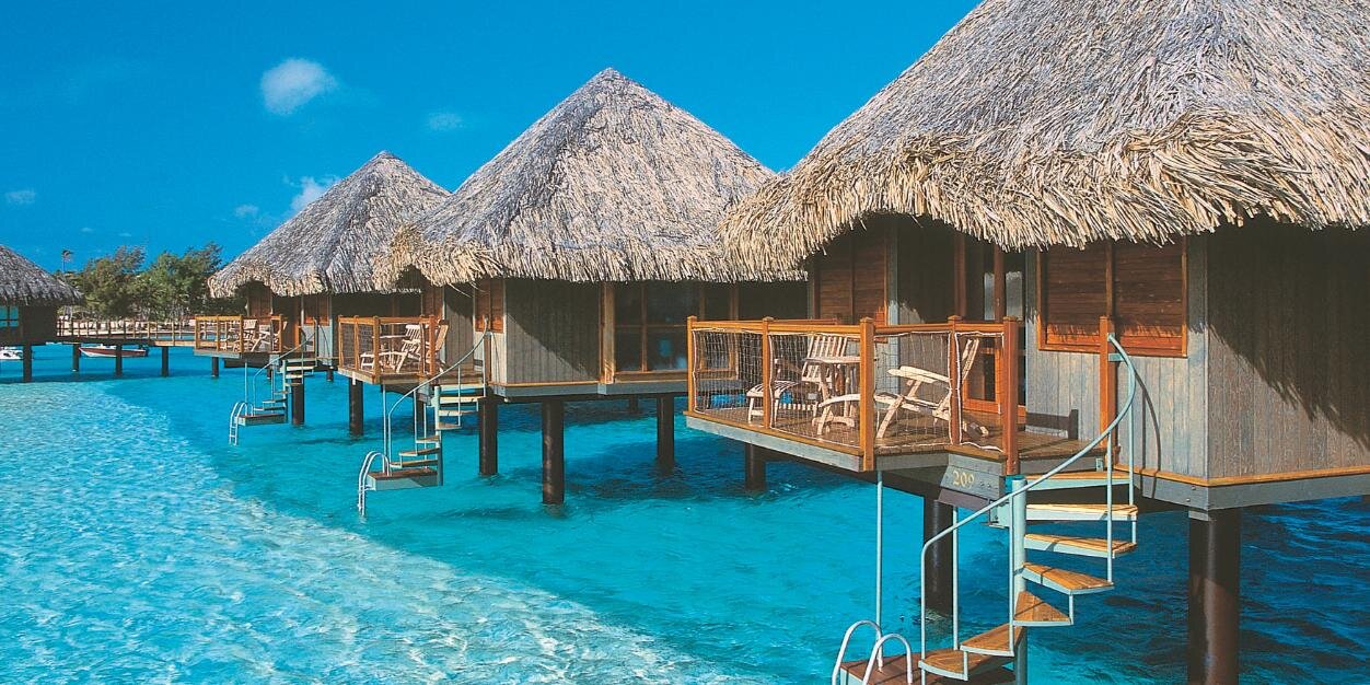 tahitigdr's profile banner image