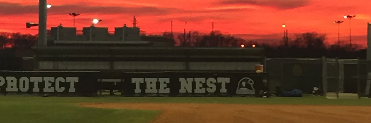 Foster Baseball banner