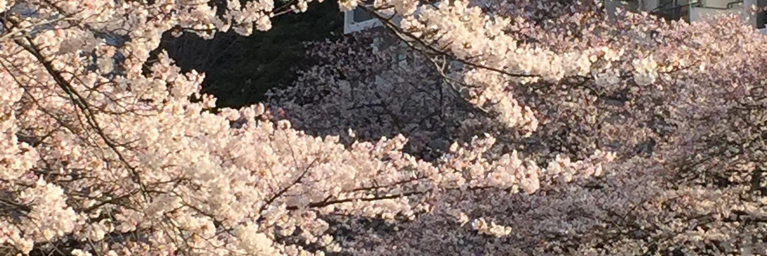 sakae_chan's profile banner image