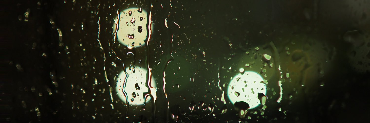 roly-poly 🐈 banner