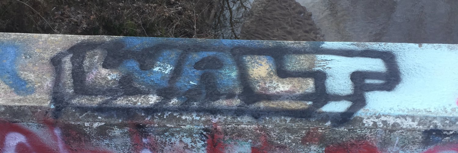 _iWalt's profile banner image
