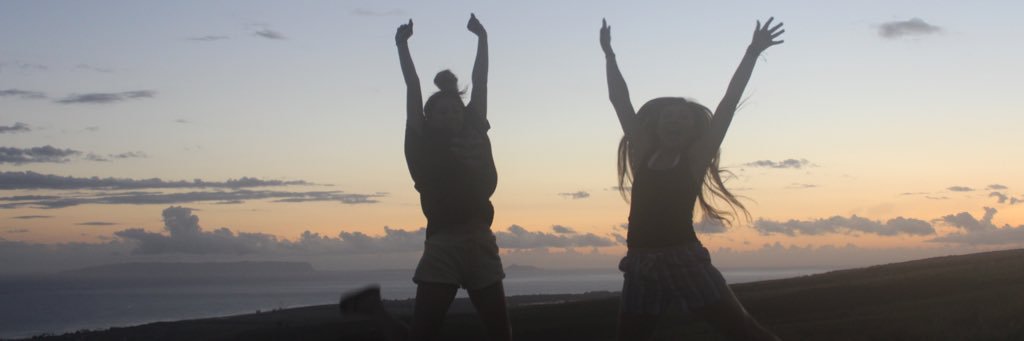 Liz_skarzynski's profile banner image