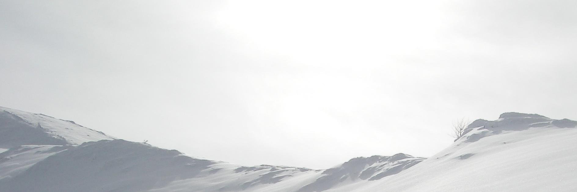 NetMusic Life banner