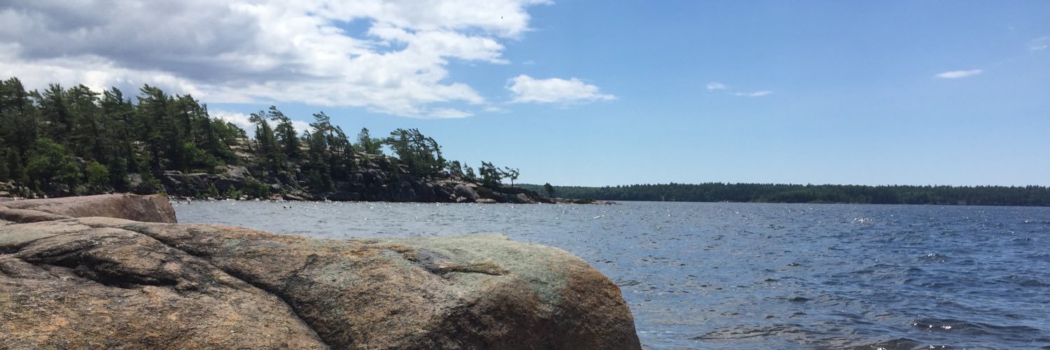 janicevaneck's profile banner image