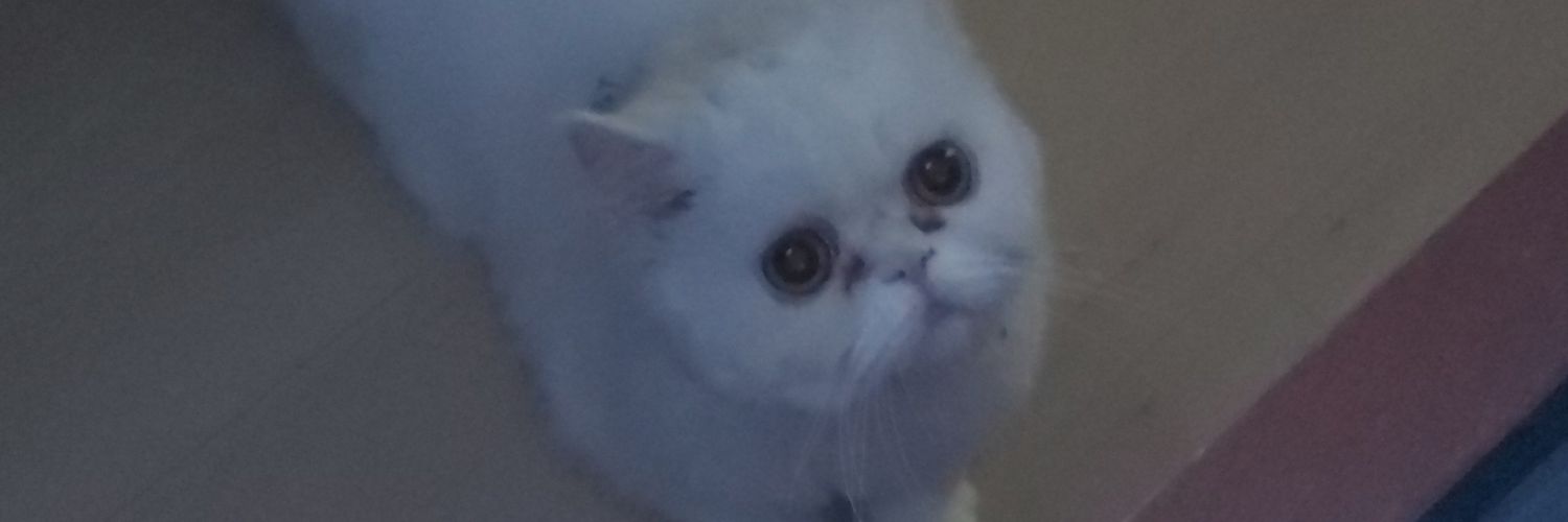 anadosfields's profile banner image