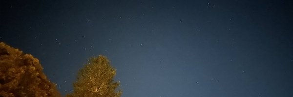 narwhals9 Profile Banner
