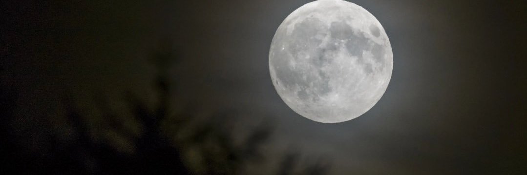 Semo15555's profile banner image