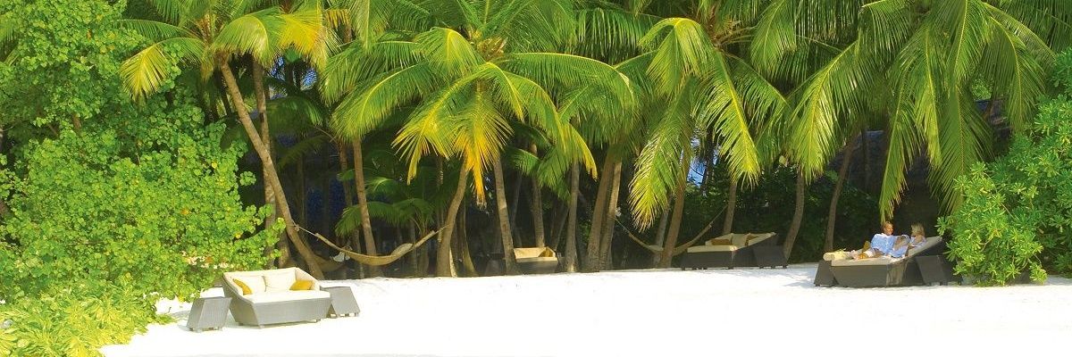 avbjr's profile banner image