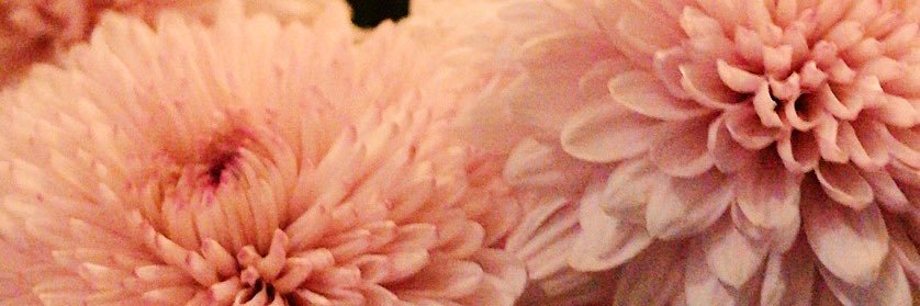 elianarb_'s profile banner image