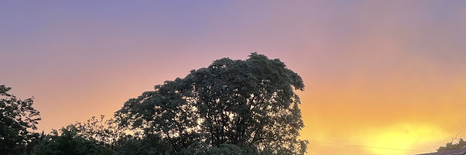tcalloway19's profile banner image