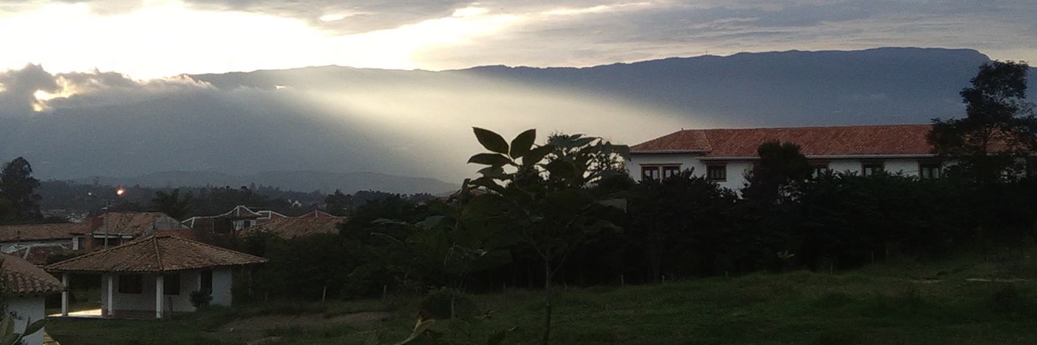 tatiianapiino's profile banner image