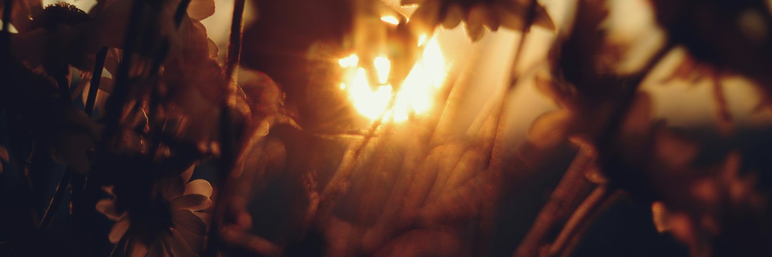 hiroaki_wd's profile banner image