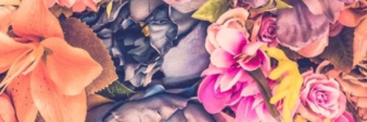 VickyyPrincipe's profile banner image