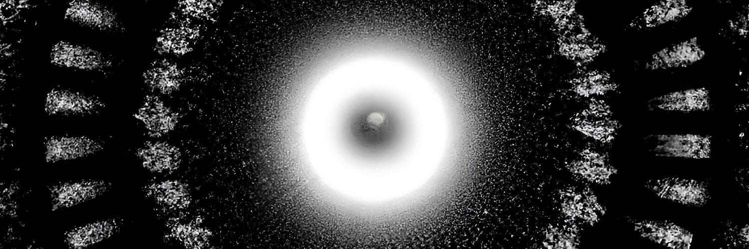 nousdisques's profile banner image