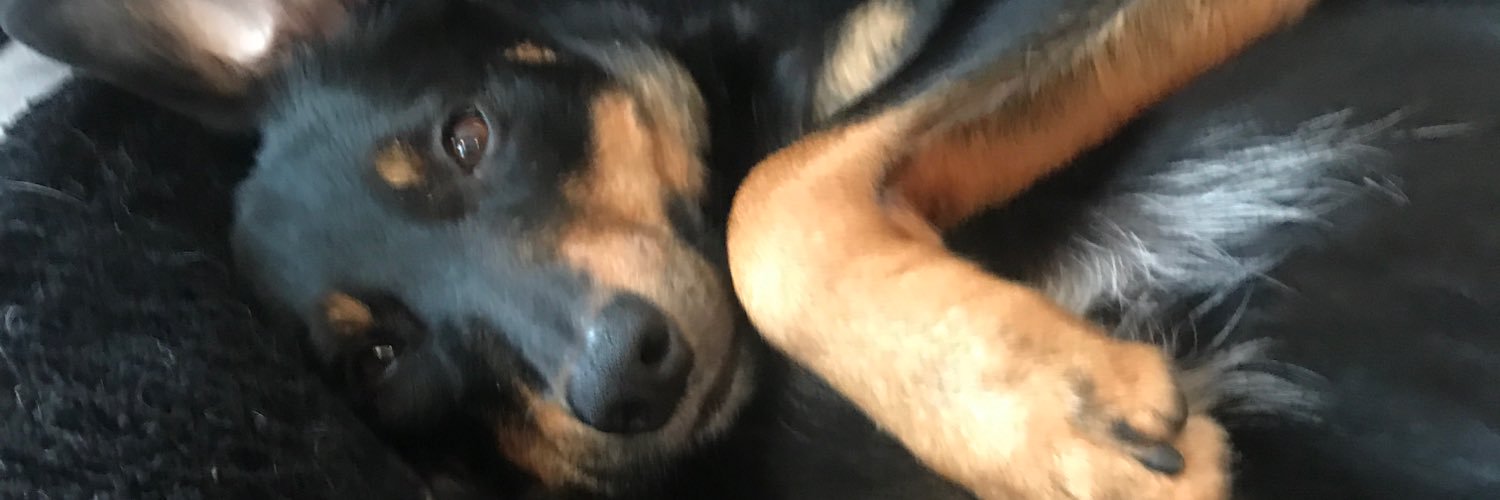 aorke22's profile banner image