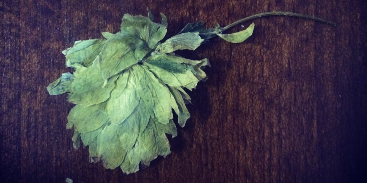 phantombrewery's profile banner image
