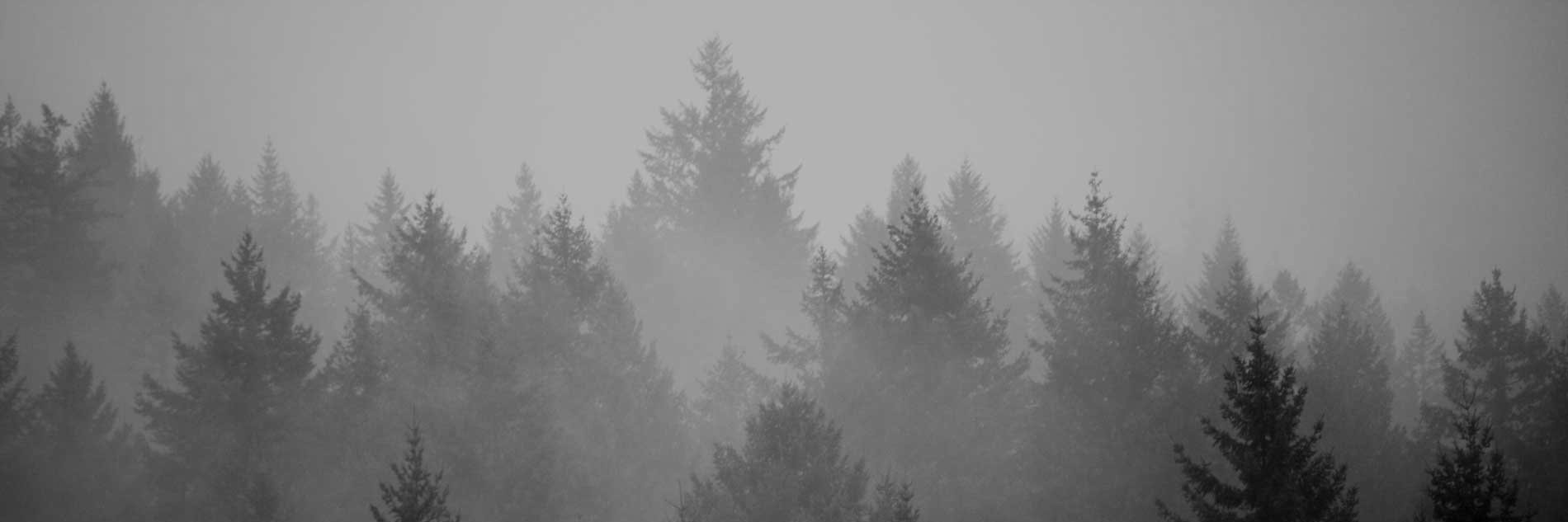 cecixr_'s profile banner image