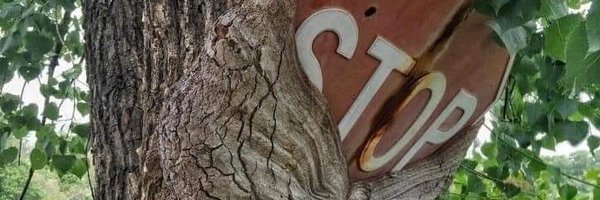 PaleoPhotoPro Profile Banner